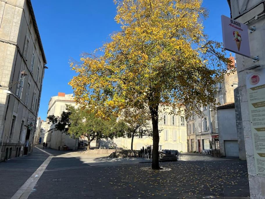 Appartamento Le Logis Des Templiers Vieux Port La Rochelle  Esterno foto